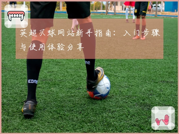 英超买球网站新手指南：入门步骤与使用体验分享