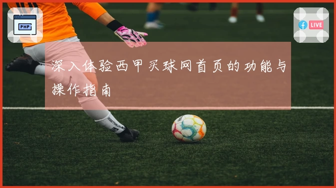 深入体验西甲买球网首页的功能与操作指南